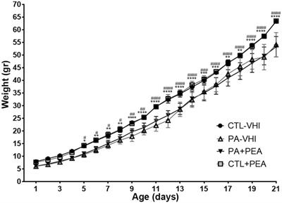 Palmitoylethanolamide attenuates neurodevelopmental delay and early hippocampal damage following perinatal asphyxia in rats